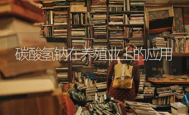 碳酸氢钠在养殖业上的应用 | 养殖技术大全