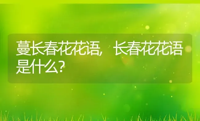 蔓长春花花语,长春花花语是什么？ | 养殖科普