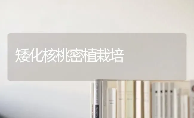 矮化核桃密植栽培 | 养殖技术大全