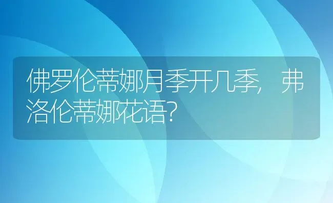 佛罗伦蒂娜月季开几季,弗洛伦蒂娜花语？ | 养殖科普