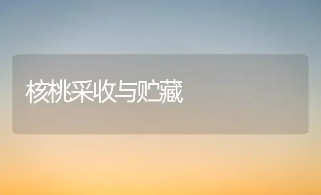 核桃采收与贮藏 | 养殖知识