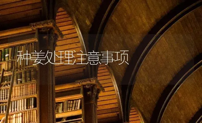 种姜处理注意事项 | 养殖技术大全