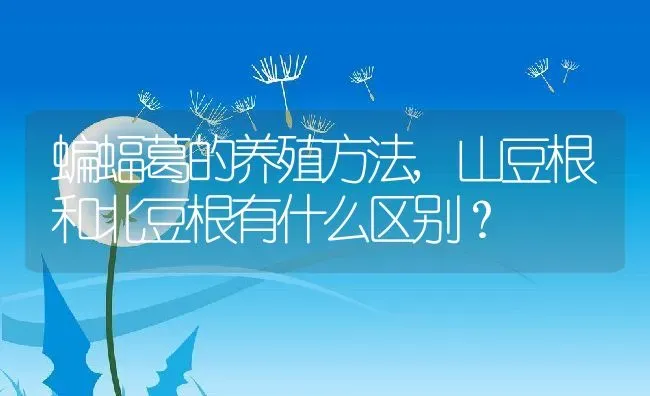 蝙蝠葛的养殖方法,山豆根和北豆根有什么区别？ | 养殖科普