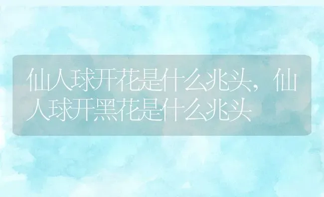 仙人球开花是什么兆头,仙人球开黑花是什么兆头 | 养殖学堂