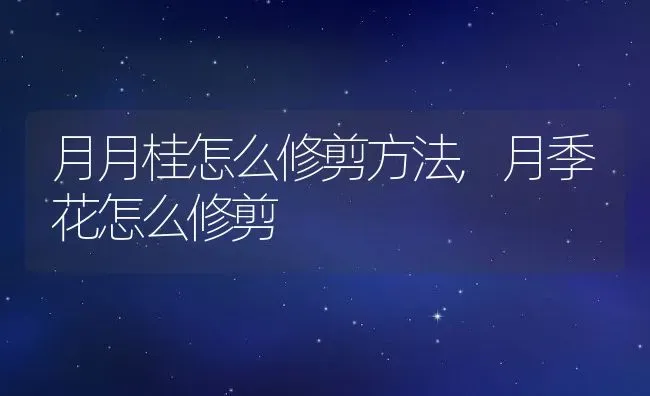 月月桂怎么修剪方法,月季花怎么修剪 | 养殖学堂