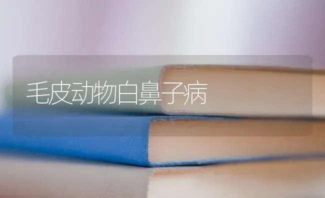 毛皮动物白鼻子病 | 养殖技术大全