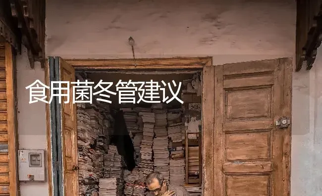 食用菌冬管建议 | 养殖知识