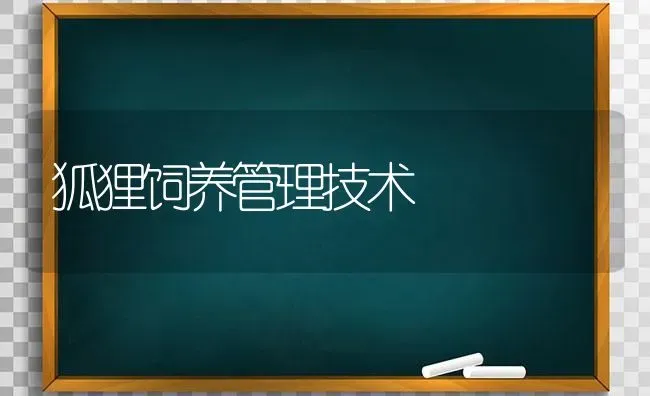 狐狸饲养管理技术 | 养殖技术大全