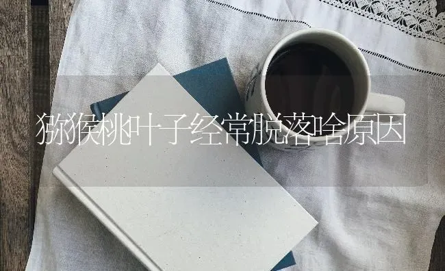 猕猴桃叶子经常脱落啥原因 | 养殖技术大全
