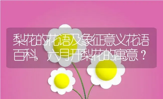 梨花的花语及象征意义花语百科,六月开梨花的寓意？ | 养殖科普