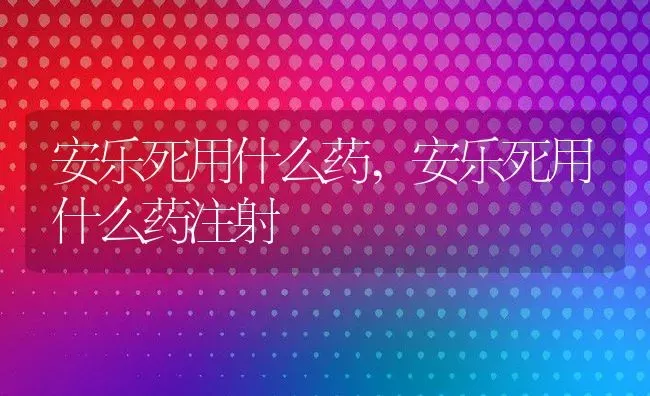 安乐死用什么药,安乐死用什么药注射 | 养殖资料