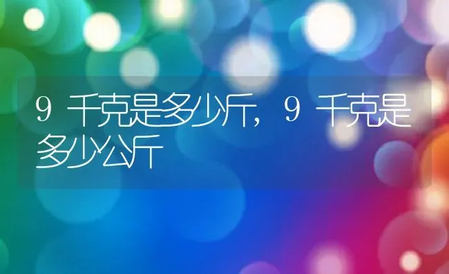 9千克是多少斤,9千克是多少公斤 | 养殖科普