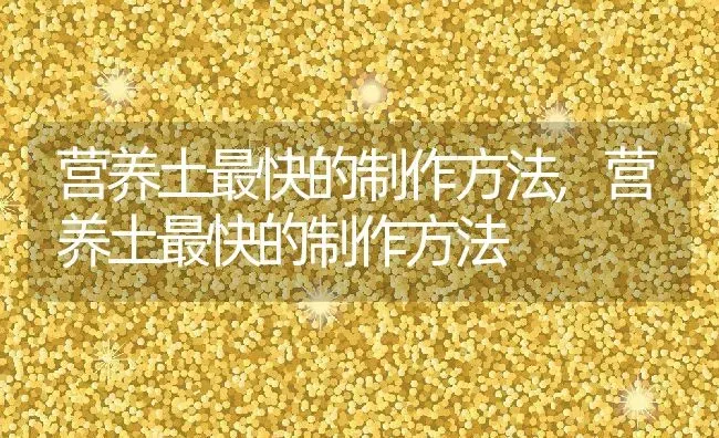 营养土最快的制作方法,营养土最快的制作方法 | 养殖科普