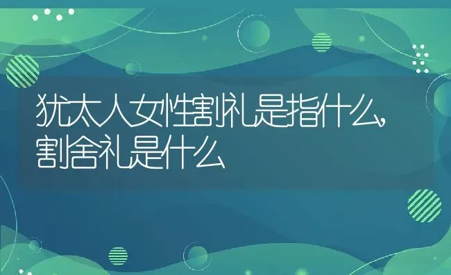 犹太人女性割礼是指什么,割舍礼是什么 | 养殖学堂