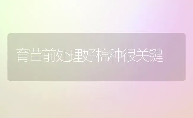 育苗前处理好棉种很关键 | 养殖知识