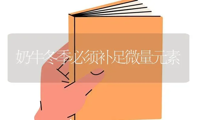 奶牛冬季必须补足微量元素 | 养殖技术大全