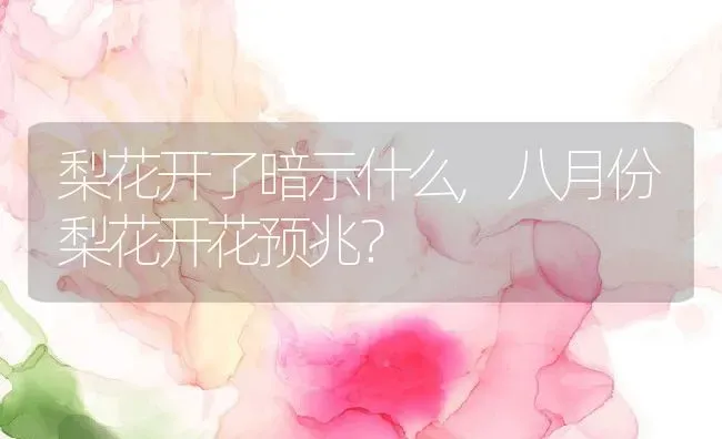 梨花开了暗示什么,八月份梨花开花预兆？ | 养殖学堂
