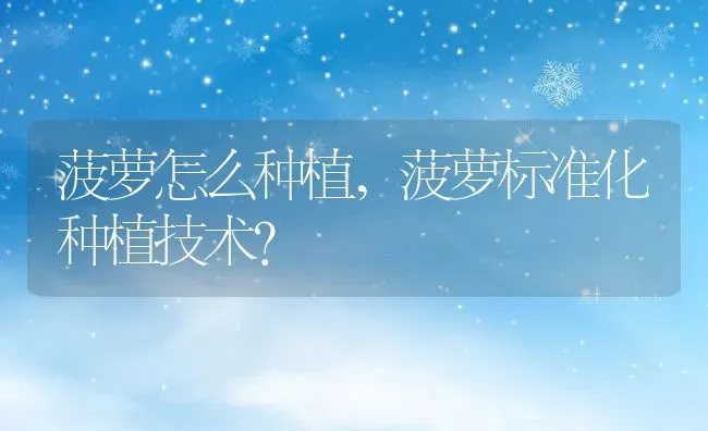 菠萝怎么种植,菠萝标准化种植技术？ | 养殖科普