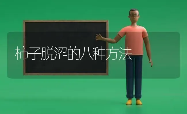 柿子脱涩的八种方法 | 养殖技术大全