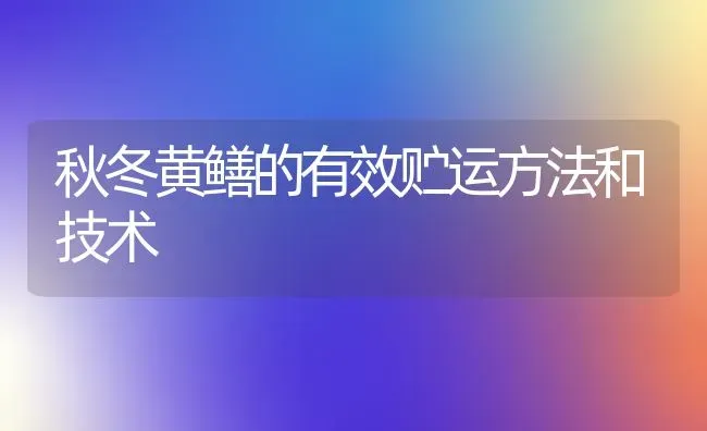 秋冬黄鳝的有效贮运方法和技术 | 养殖知识