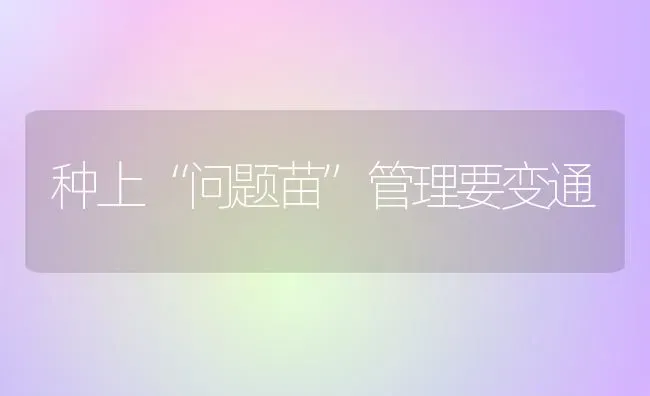 种上“问题苗”管理要变通 | 养殖技术大全
