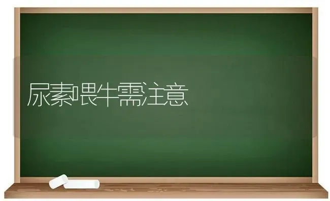 尿素喂牛需注意 | 养殖知识