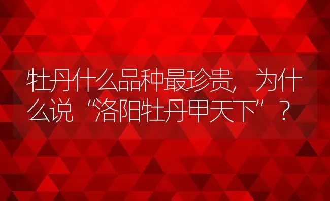 牡丹什么品种最珍贵,为什么说“洛阳牡丹甲天下”？ | 养殖科普