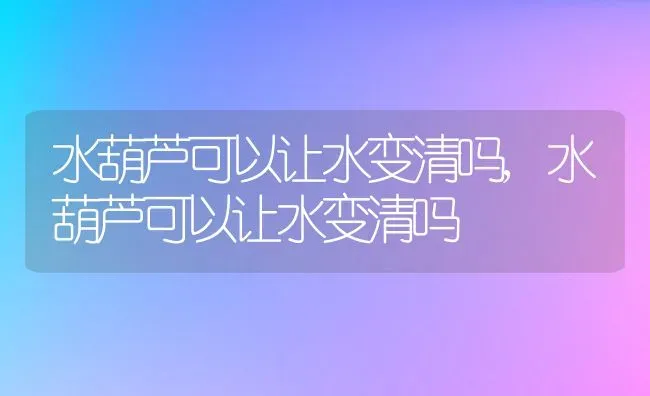 水葫芦可以让水变清吗,水葫芦可以让水变清吗 | 养殖科普