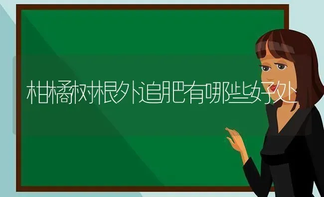 柑橘树根外追肥有哪些好处 | 养殖技术大全