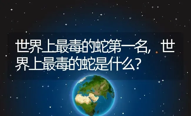 世界上最毒的蛇第一名,世界上最毒的蛇是什么？ | 养殖科普