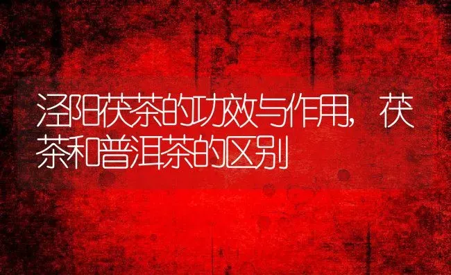 泾阳茯茶的功效与作用,茯茶和普洱茶的区别 | 养殖学堂