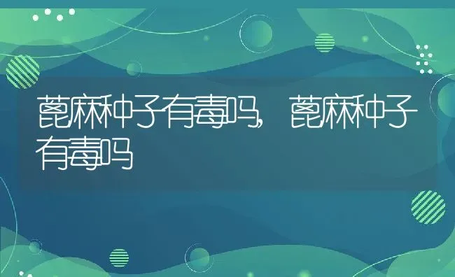 蓖麻种子有毒吗,蓖麻种子有毒吗 | 养殖科普