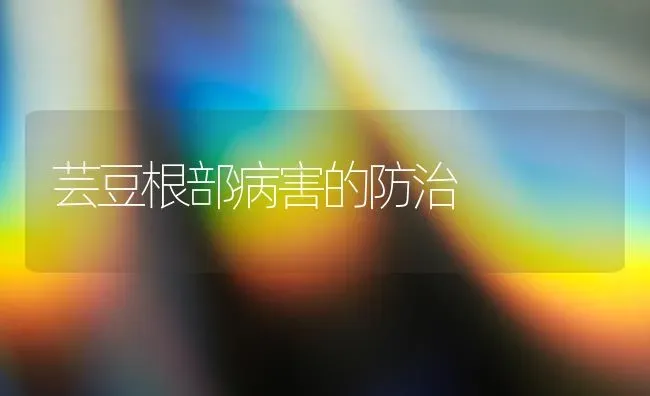 芸豆根部病害的防治 | 养殖知识