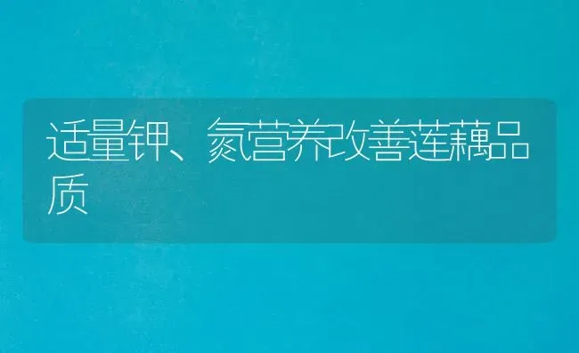 适量钾、氮营养改善莲藕品质 | 养殖知识