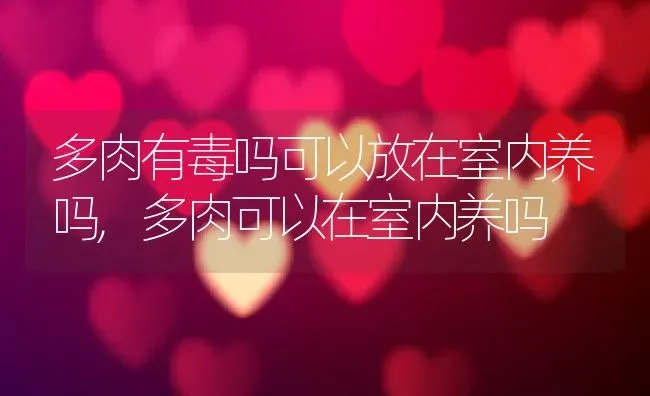 多肉有毒吗可以放在室内养吗,多肉可以在室内养吗 | 养殖学堂