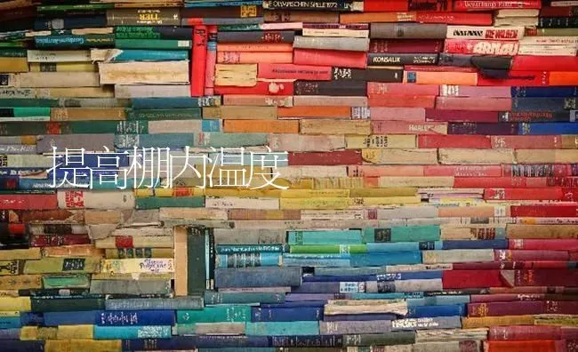 提高棚内温度 | 养殖知识