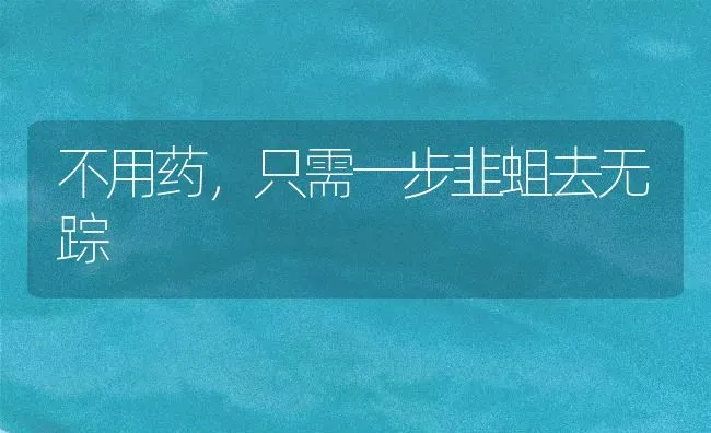 不用药,只需一步韭蛆去无踪 | 养殖技术大全