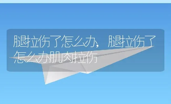 腿拉伤了怎么办,腿拉伤了怎么办肌肉拉伤 | 养殖科普
