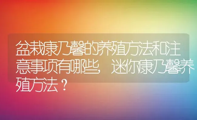 盆栽康乃馨的养殖方法和注意事项有哪些,迷你康乃馨养殖方法？ | 养殖科普