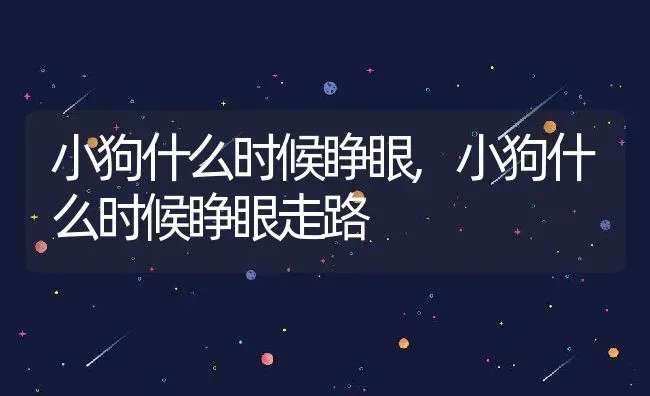 小狗什么时候睁眼,小狗什么时候睁眼走路 | 养殖科普