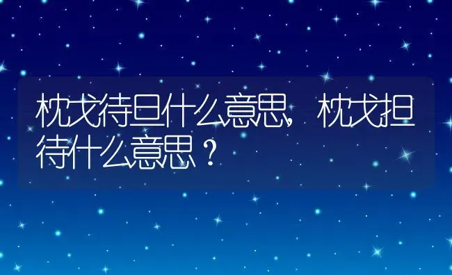 枕戈待旦什么意思,枕戈担待什么意思？ | 养殖科普
