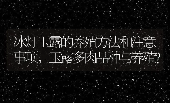 冰灯玉露的养殖方法和注意事项,玉露多肉品种与养殖？ | 养殖科普