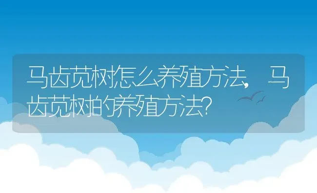 马齿苋树怎么养殖方法,马齿苋树的养殖方法？ | 养殖科普