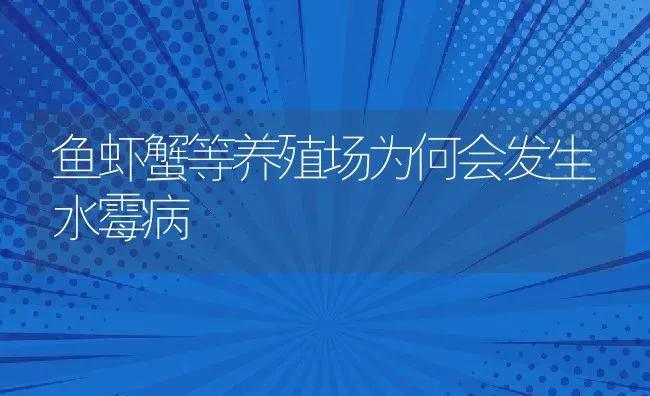 鱼虾蟹等养殖场为何会发生水霉病 | 养殖学堂