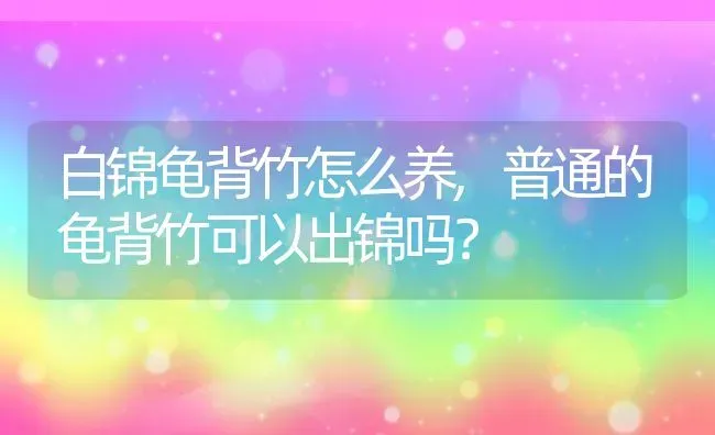 白锦龟背竹怎么养,普通的龟背竹可以出锦吗？ | 养殖科普