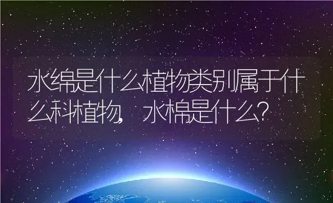 水绵是什么植物类别属于什么科植物,水棉是什么？ | 养殖学堂