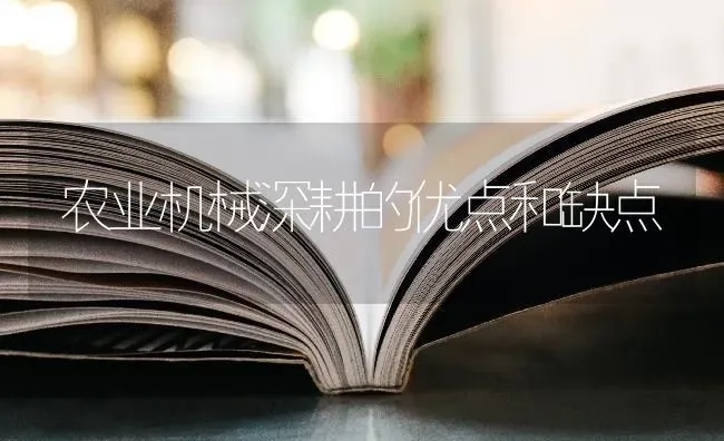 农业机械深耕的优点和缺点 | 养殖技术大全