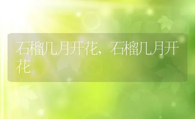 石榴几月开花,石榴几月开花 | 养殖科普