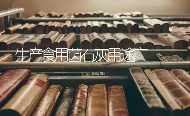 生产食用菌石灰用途广 | 养殖技术大全