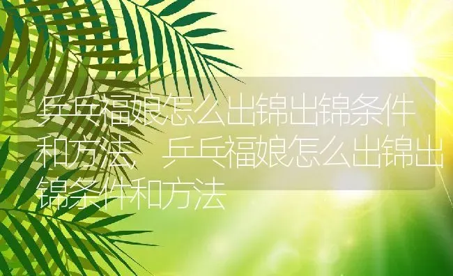 丝瓜花的功效与作用,丝瓜花的功效与作用 | 养殖科普